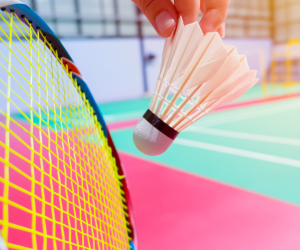 BADMINTON COURT